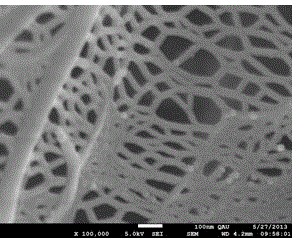 Phosphate nanofiber photocatalyst and preparation method thereof