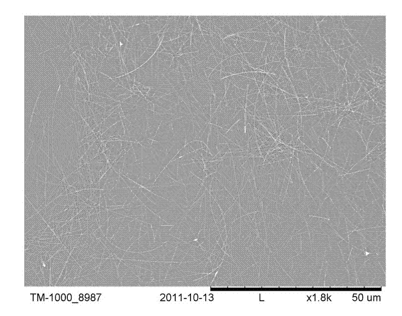 Preparation method for haze-adjustable flexible transparent conductive film