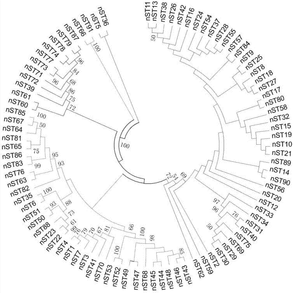 PCR primers for MLST (multilocus sequence typing) of Legionella pneumophila, typing method and application