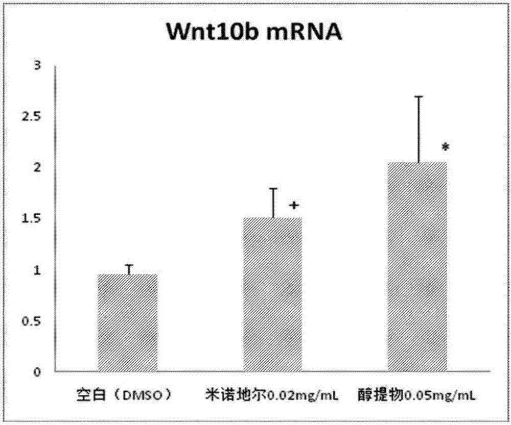 Traditional Chinese medicine composition for preventing alopecia and growing hair and preparation method and application thereof