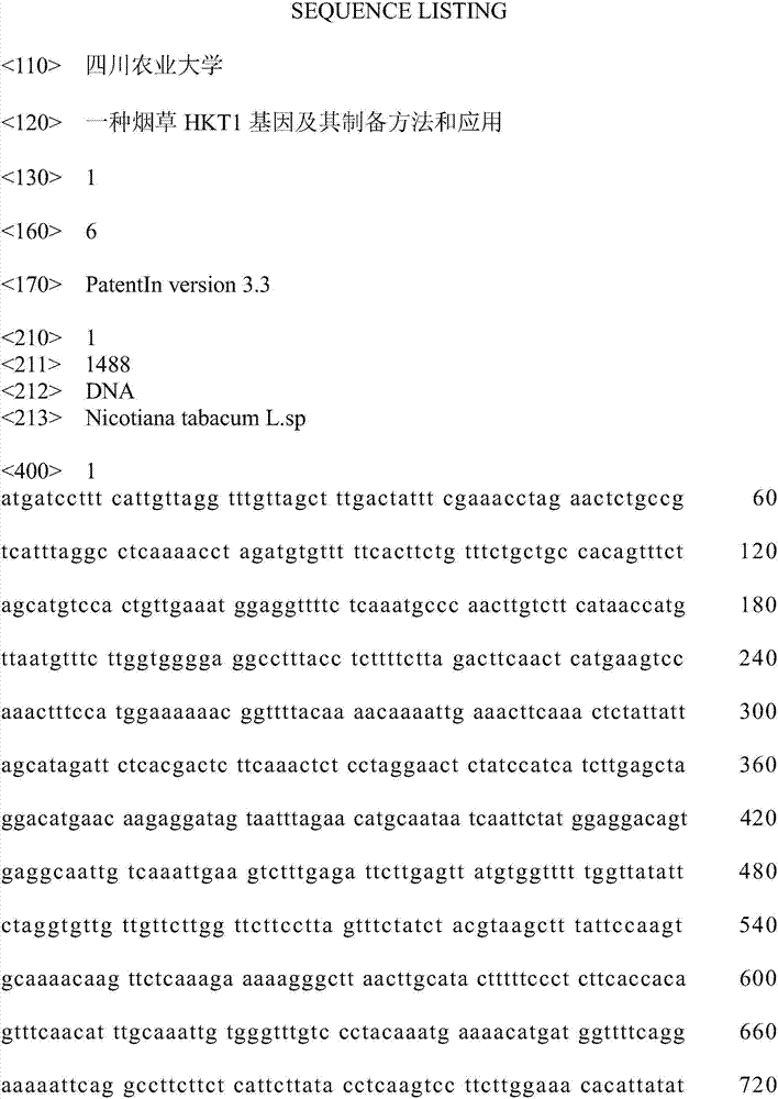 Tobacco HKT 1 gene and preparation method and application thereof