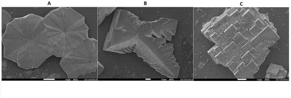 Application of hybridization perovskite meta-surface to Raman spectrum enhancement