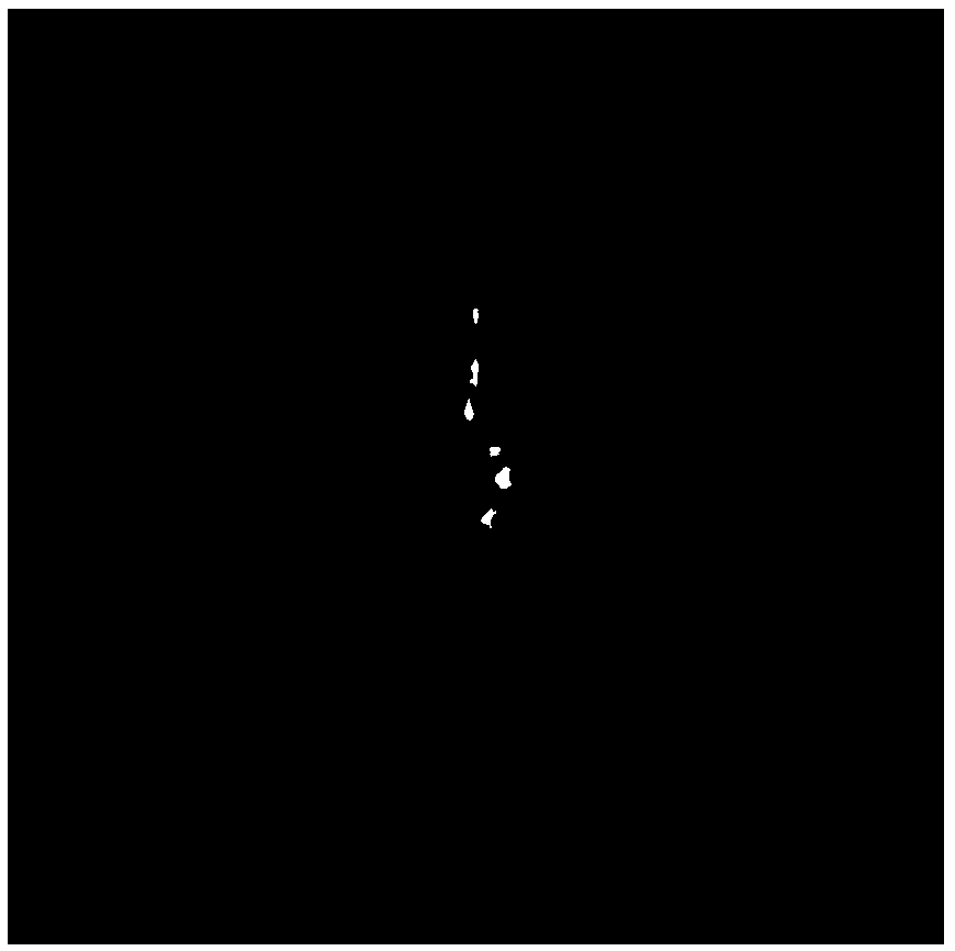 SAR image rapid denoising method based on RSVD and histogram storage