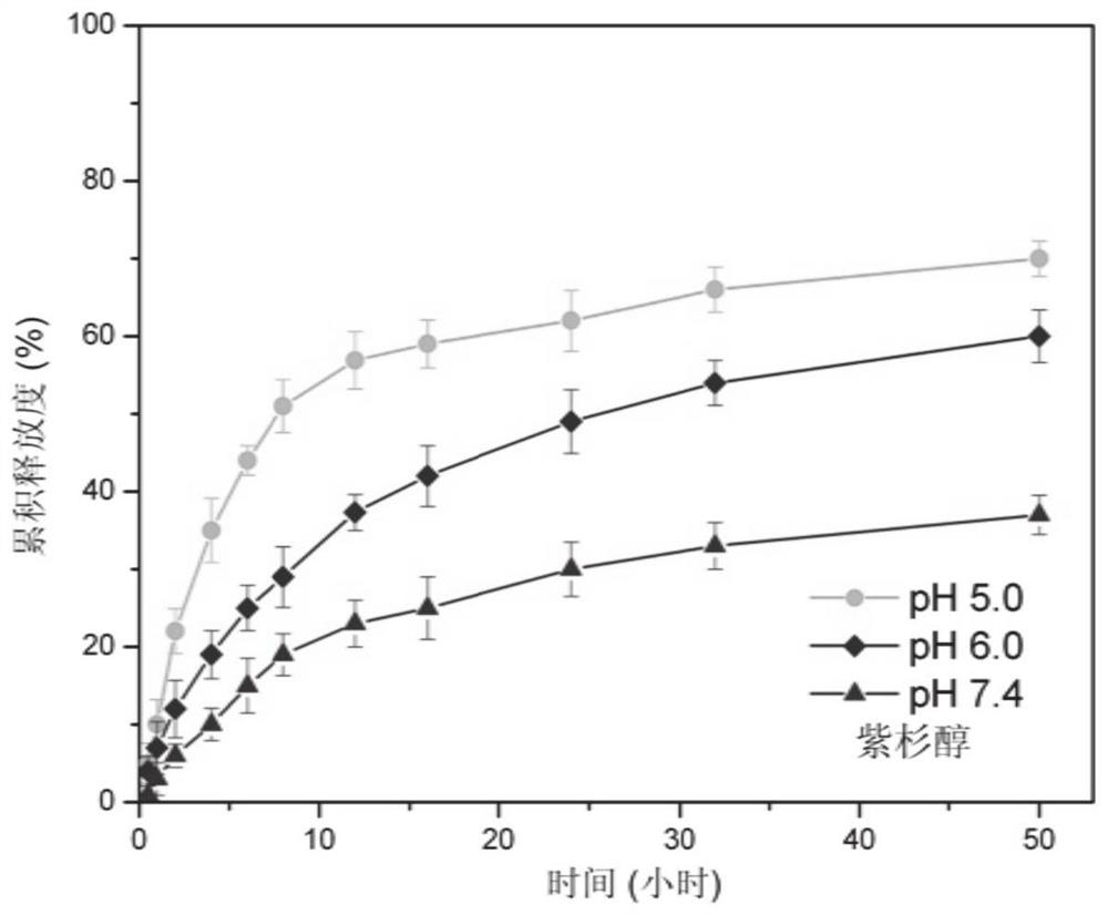 Nano preparation for treating multidrug resistance tumours, composition and application of nano preparation and composition