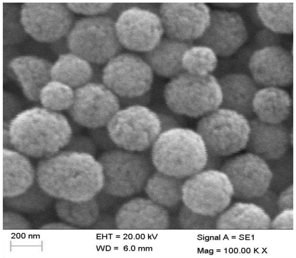 A kind of preparation method of nano magnetic beads modified by gold nanoparticles