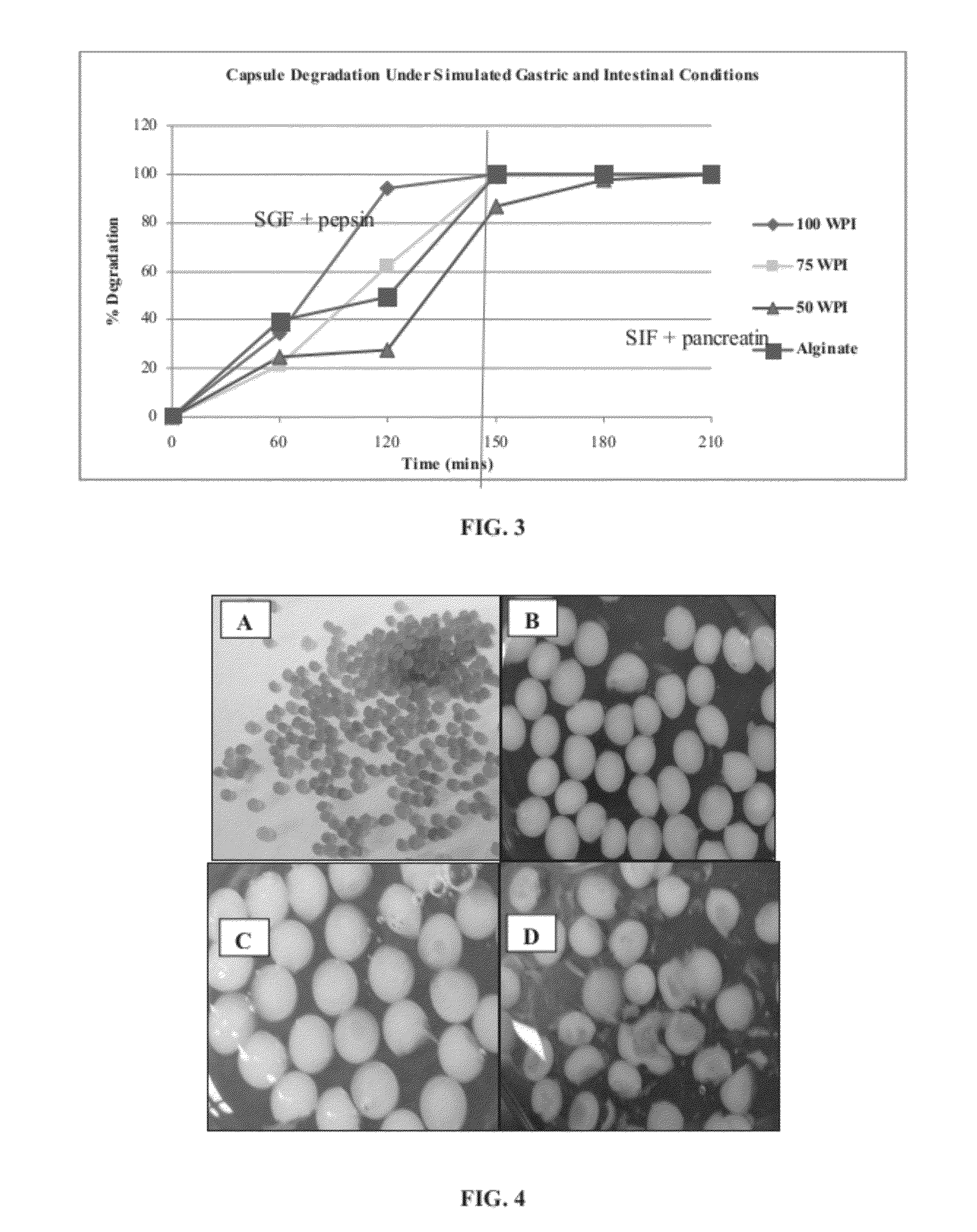 Encapsulation system for protection of probiotics during processing