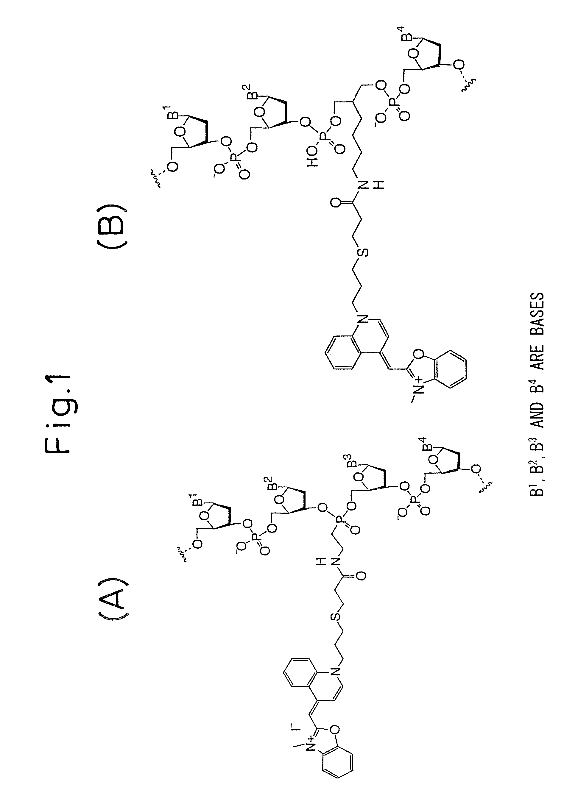 METHOD FOR ASSAYING REG IV mRNA