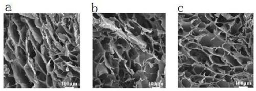 Bionic antibacterial high-adhesion dual-network hydrogel and preparation method and application thereof