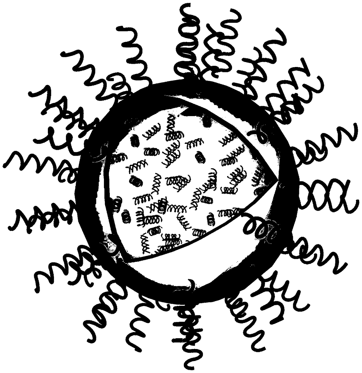 A liposome delivery system for treating cartilage diseases and its preparation method