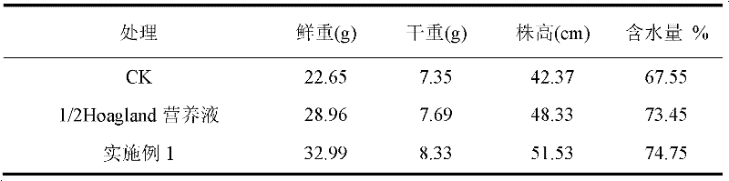 Downy mildew fungicide for promoting crop growth and application thereof