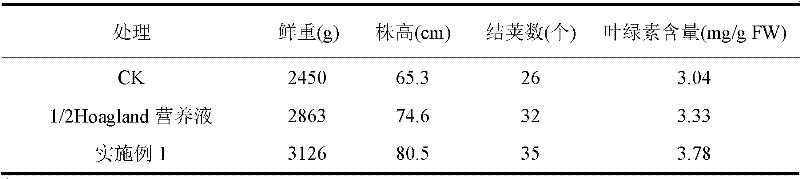 Downy mildew fungicide for promoting crop growth and application thereof