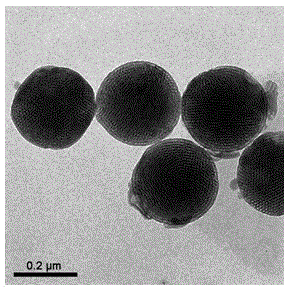 Method for preparing monodisperse mesoporous bioactive glass microspheres by template method