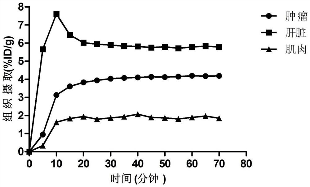 Radioisotope labeled polypeptide developer of targeted transferrin receptor and application of radioisotope labeled polypeptide developer