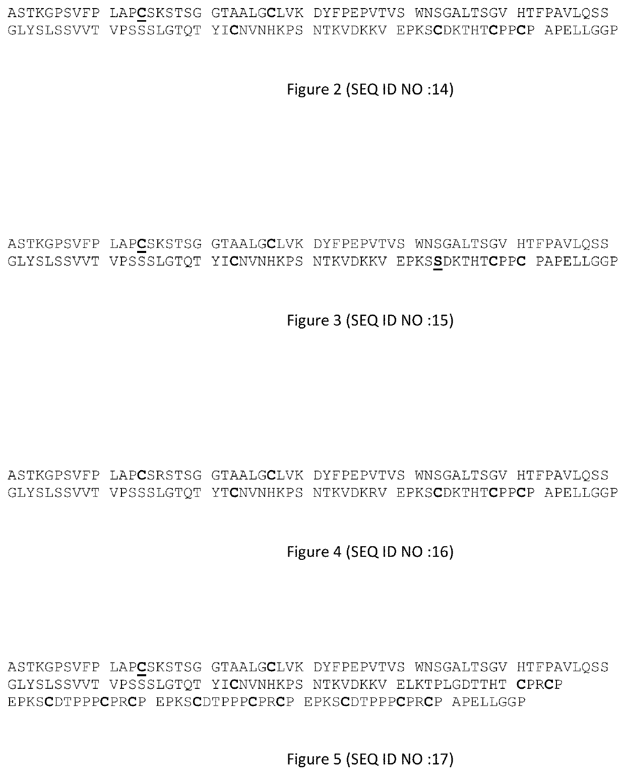 Human IgG1 derived antibody with pro-apoptotic activity