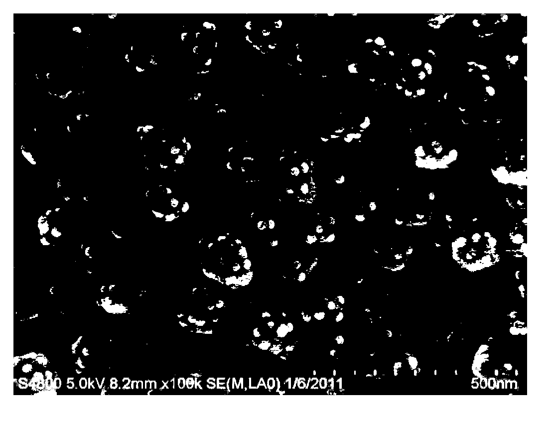 Nano silver particles with multilevel structure and preparation method thereof