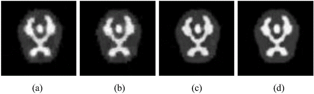 Method for synchronously reconstructing dynamic PET image and tracer kinetic parameter on the basis of TV and sparse constraint