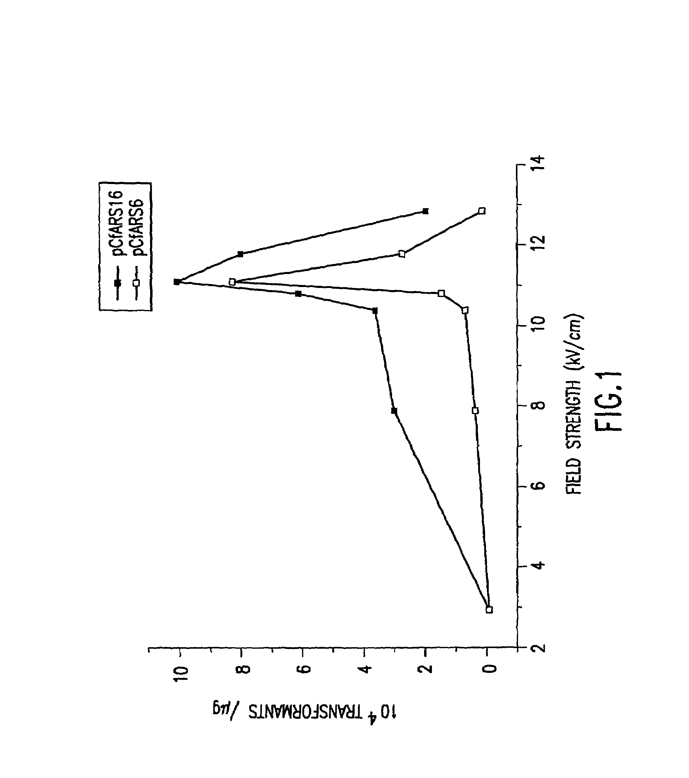 Transformation systems for flavinogenic yeast