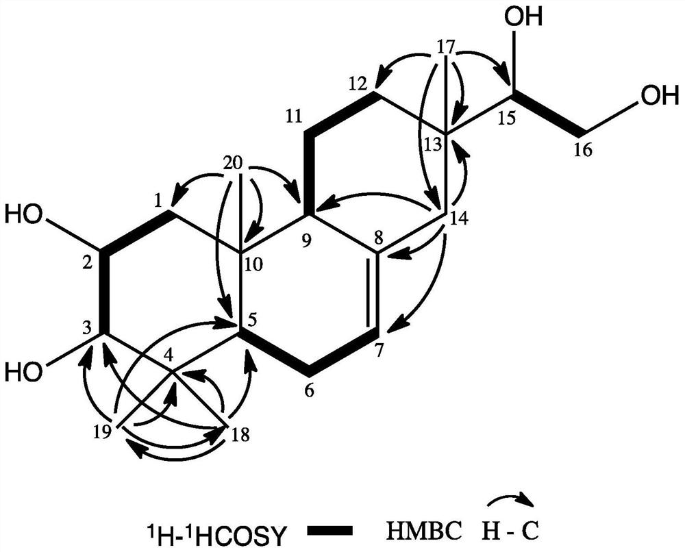 A kind of honeysuckle diterpenoid compound and its preparation method and anti-agricultural fungus use