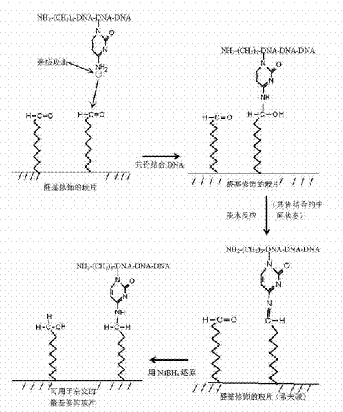 Pig virus gene chip and detection method thereof