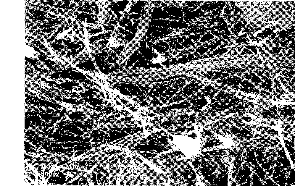 Aeration running water composite and its preparation method