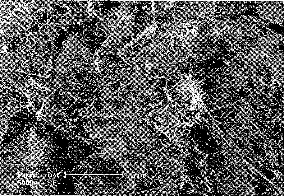 Aeration running water composite and its preparation method