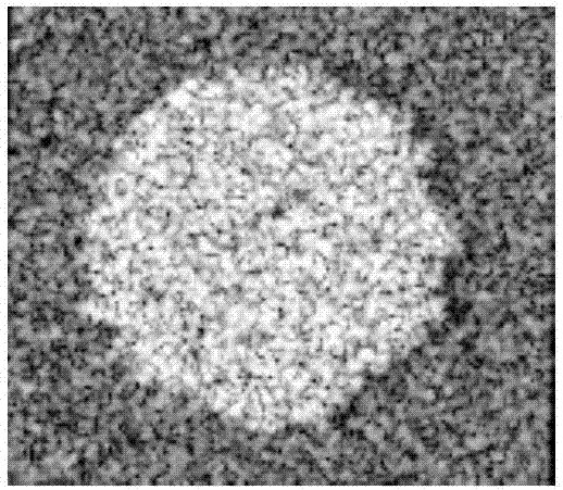 Improved polarimetric interferometry SAR vegetation height combined inversion method