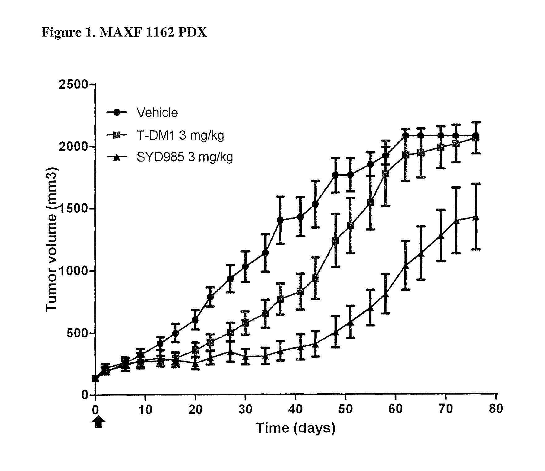 Duocarmycin ADCS showing improved in vivo antitumor activity