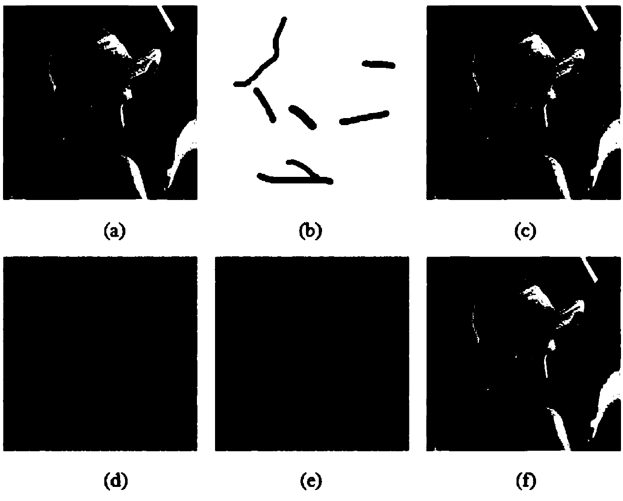 Ciphertext domain image repair method