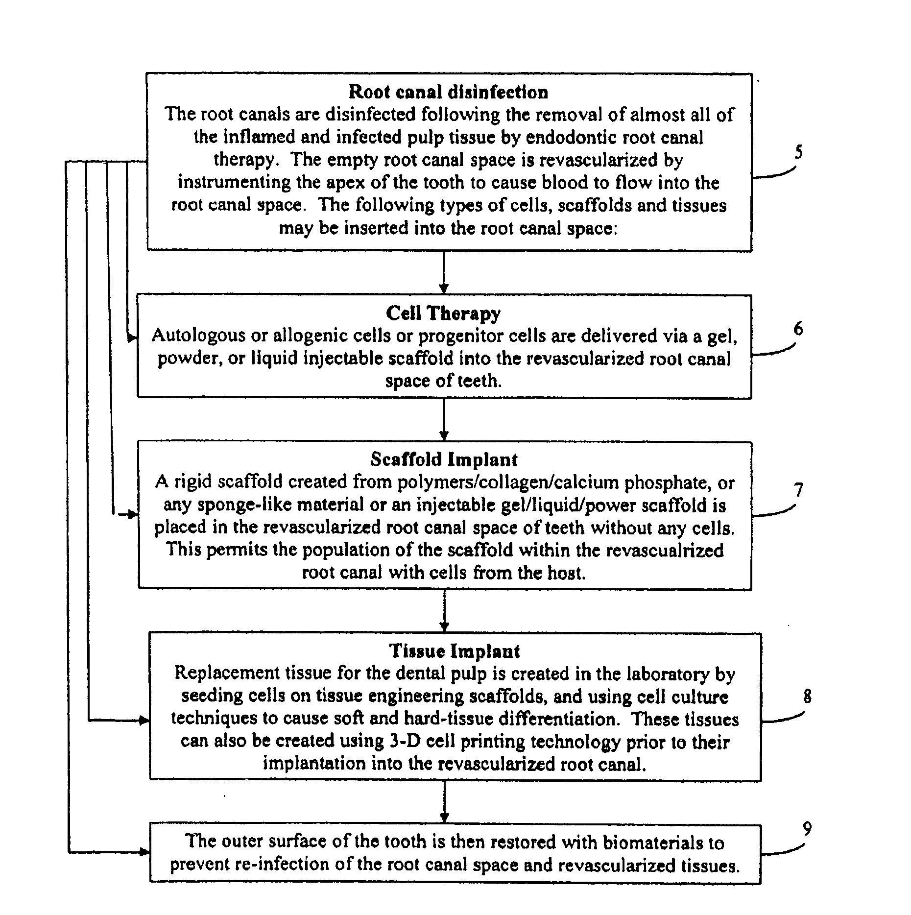 Method and kit for delivering endodontic regenerative treatment