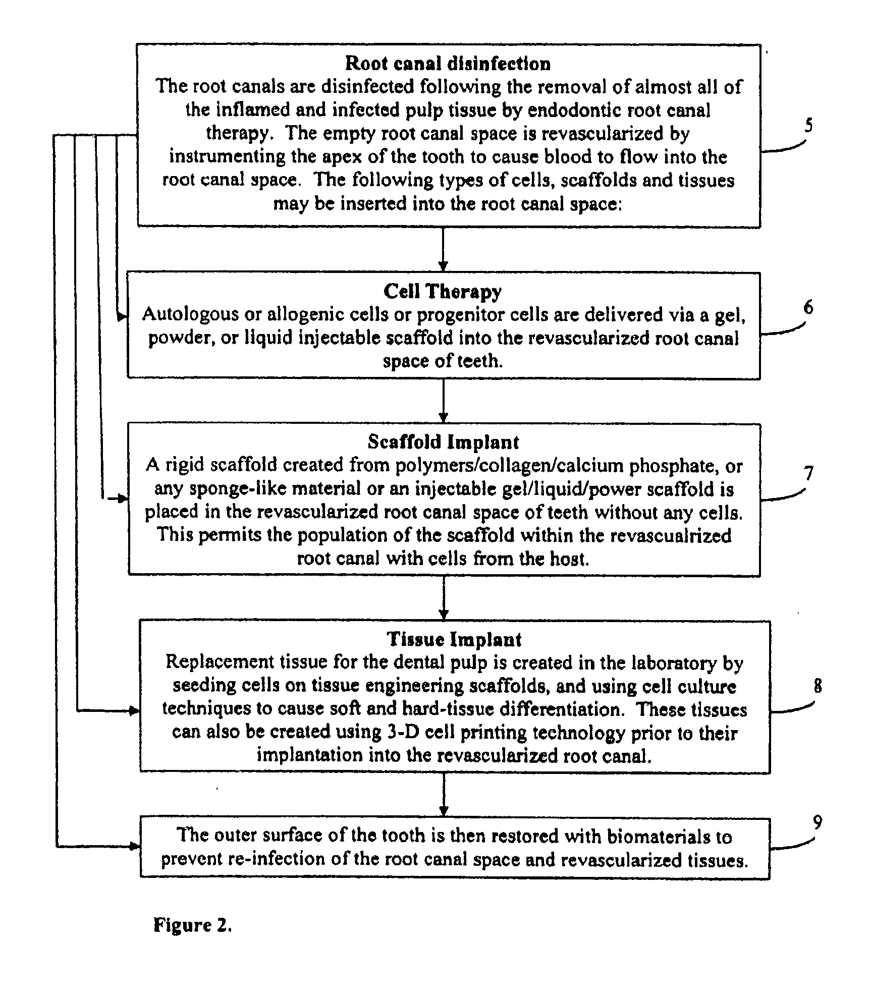 Method and kit for delivering endodontic regenerative treatment