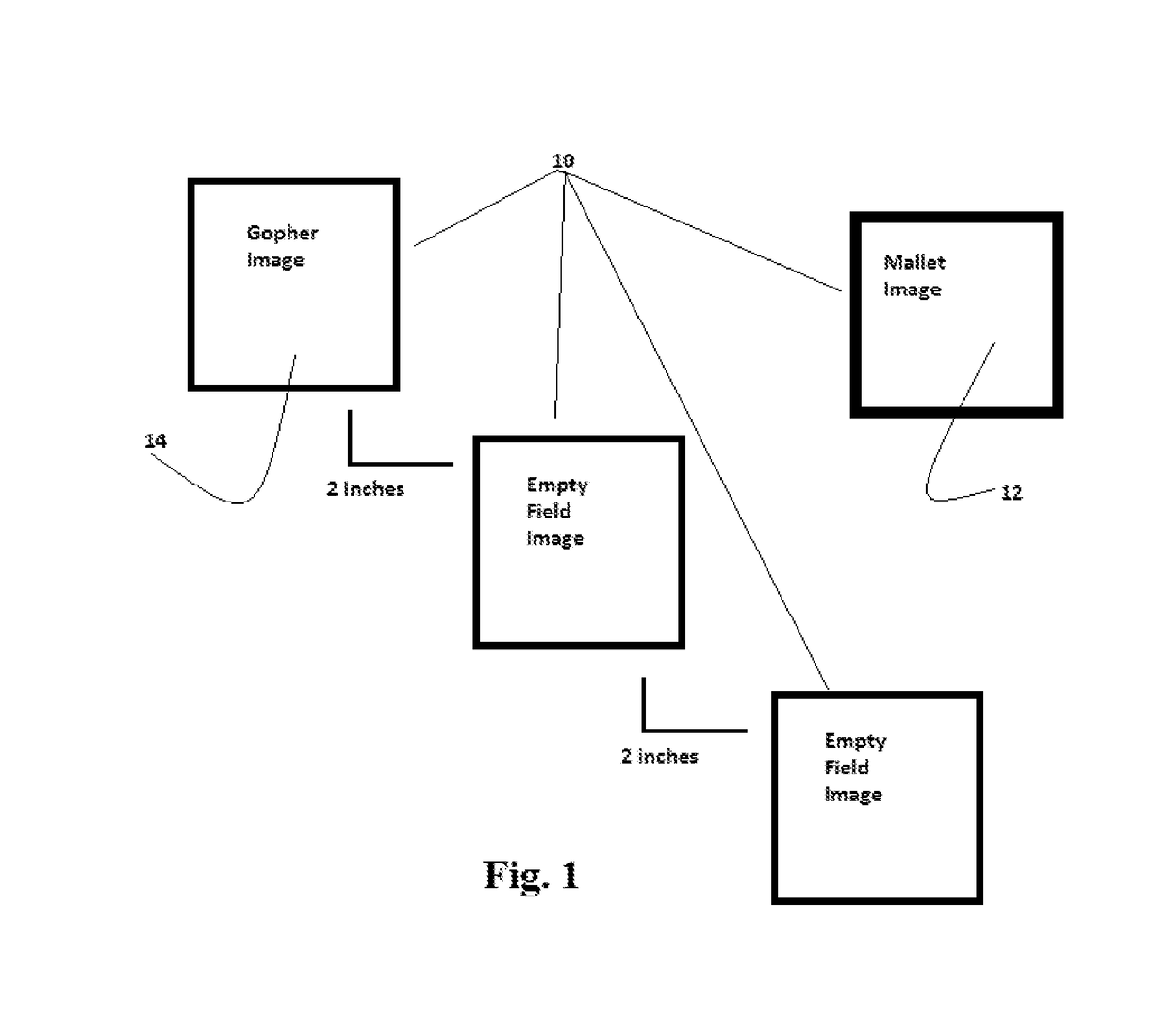 Vector space methods towards the assessment and improvement of neurological conditions