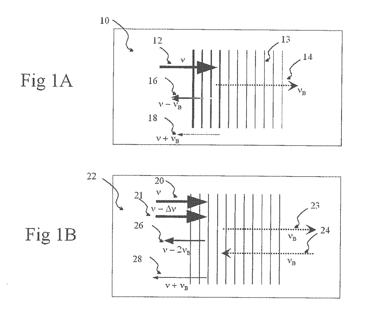 Systems and methods for obtaining information associated with an anatomical sample using optical microscopy