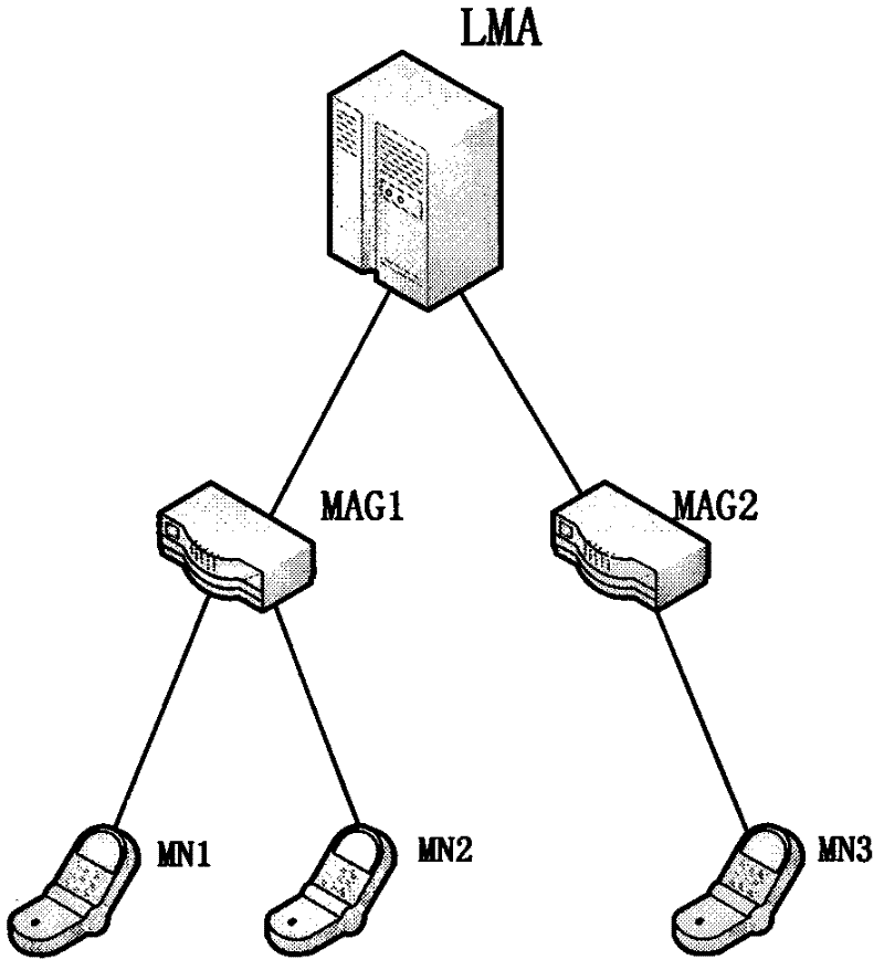 Inter-domain switching method of proxy mobile IPv6 (Internet Protocol Version 6)