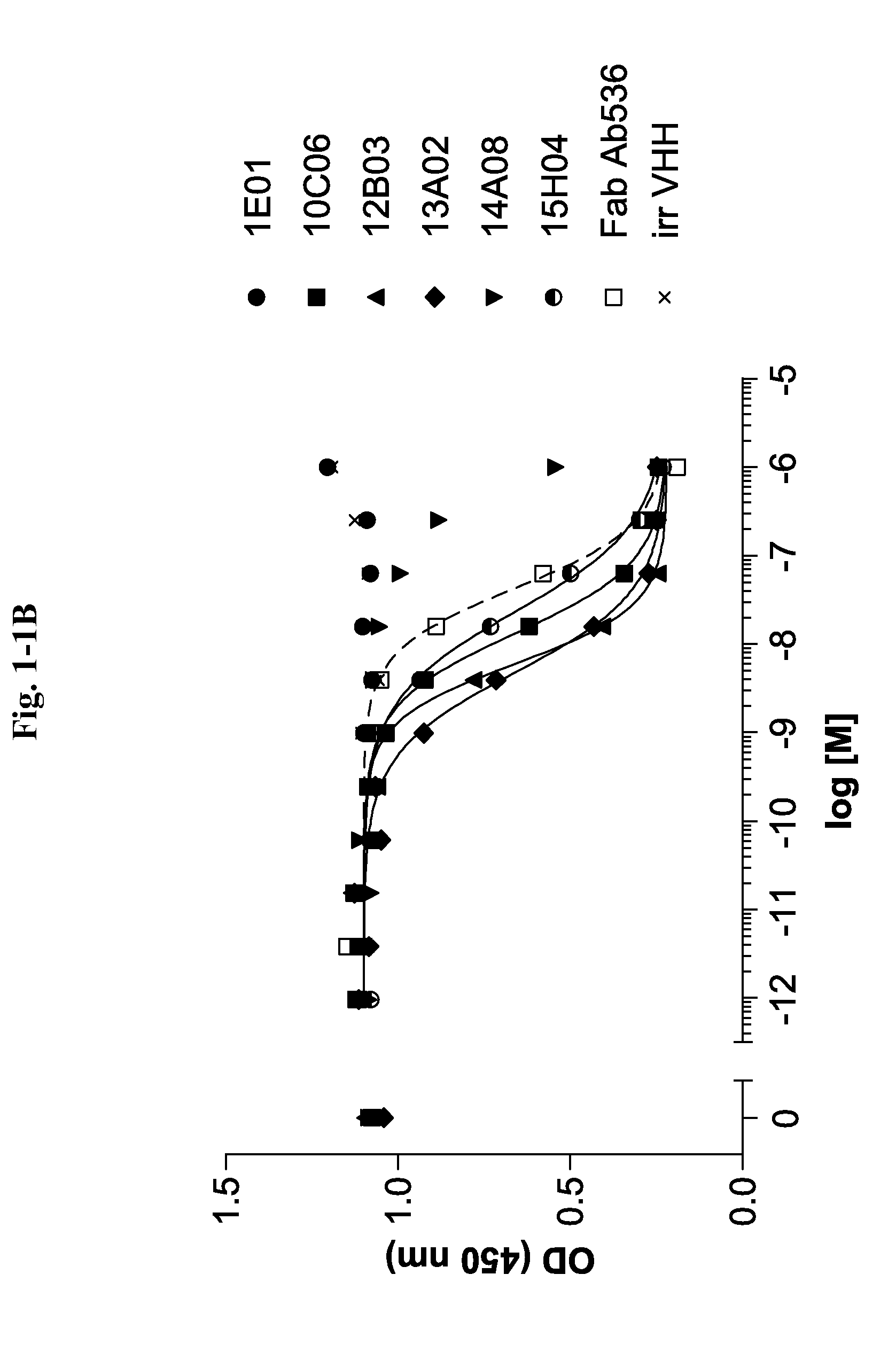 Ang2-binding molecules