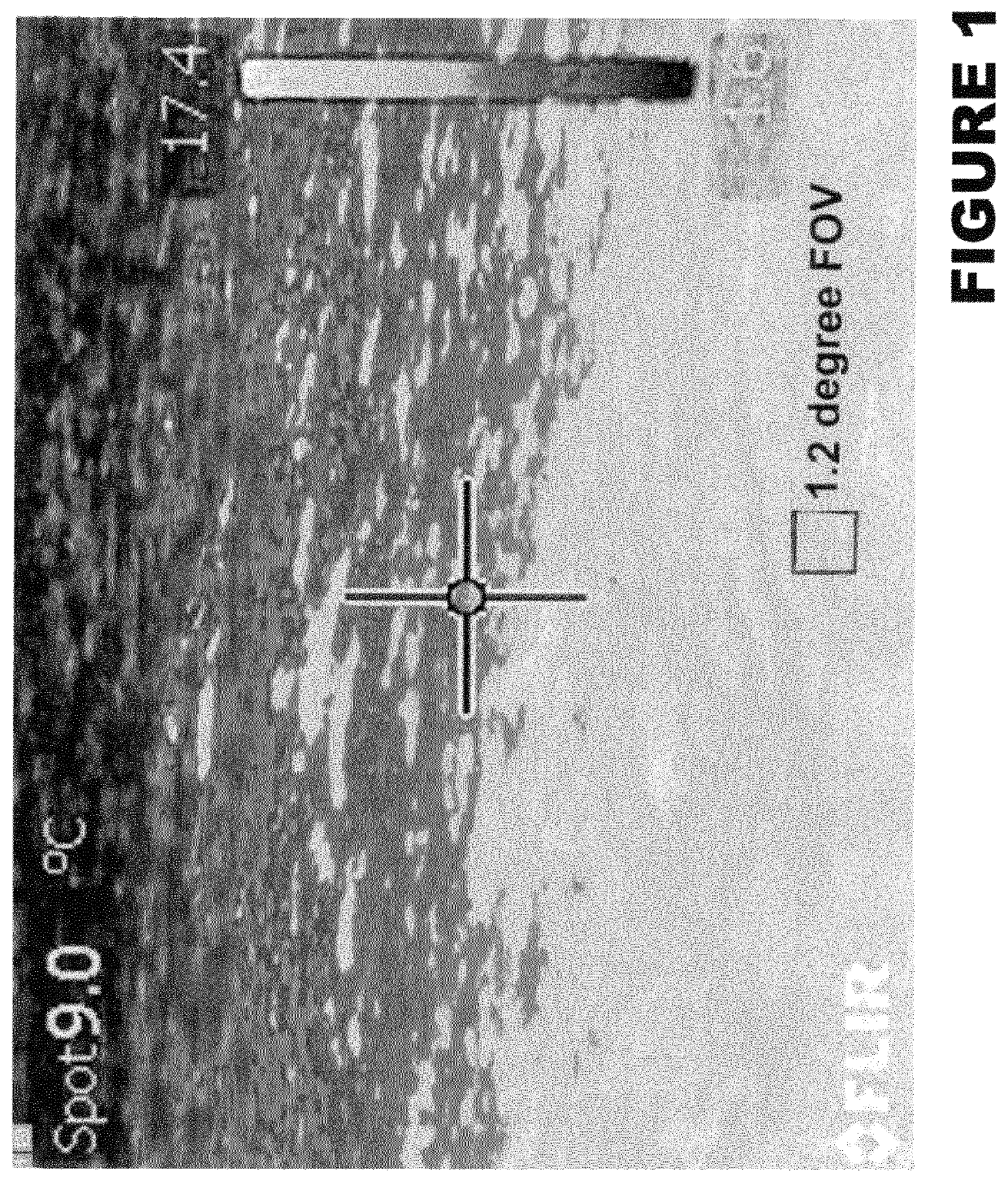 Apparatus and methods for remote measurement of sea surface temperature