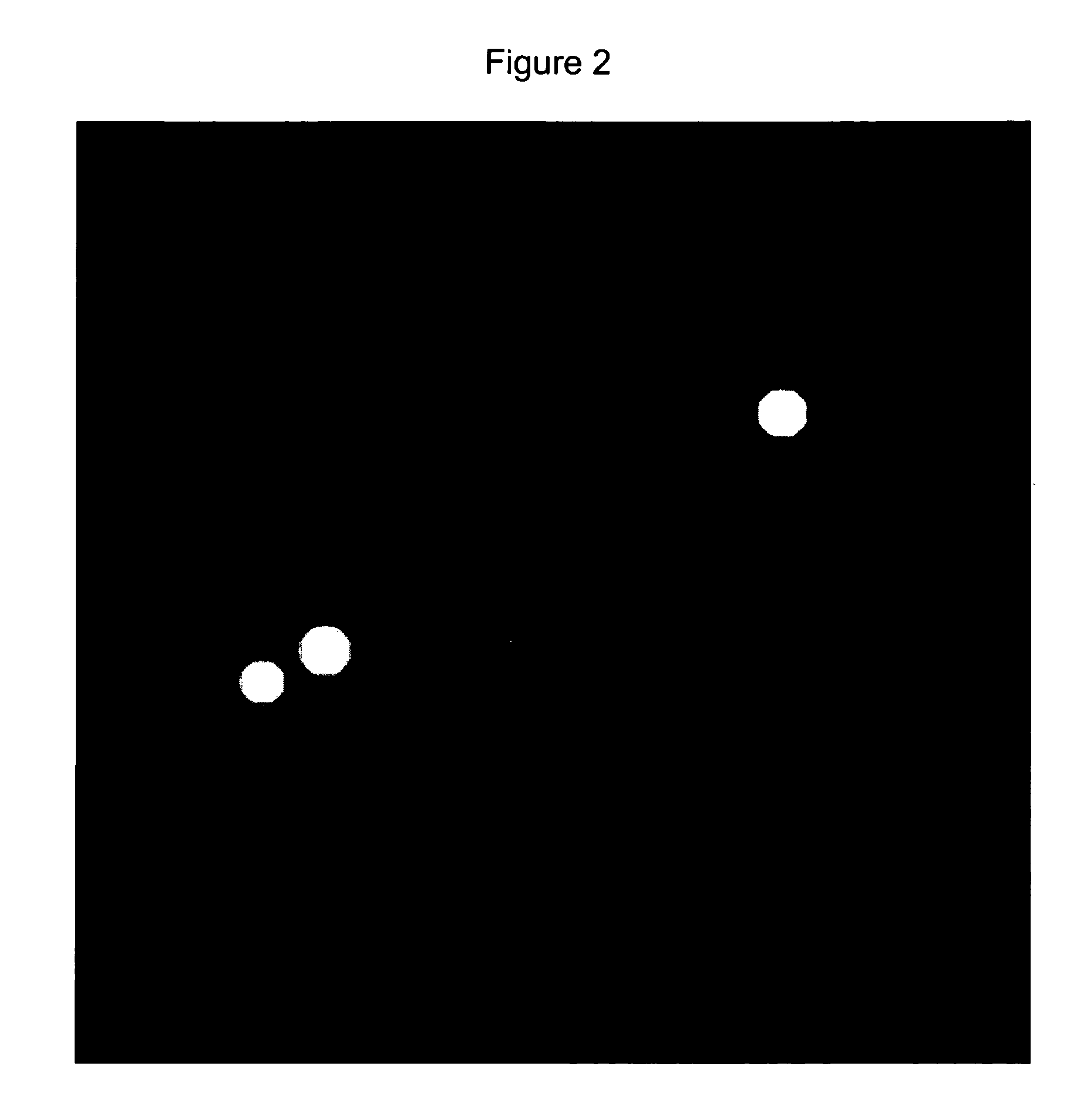 Neuronal profiling