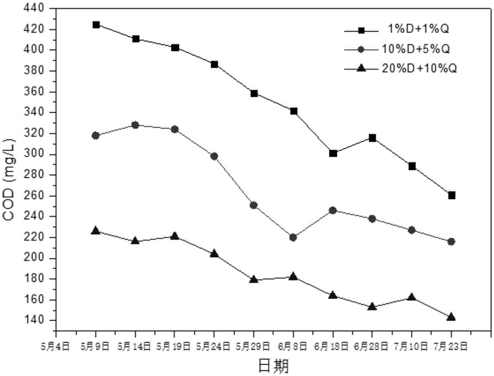 Bio-degradable sustained-release carbon material and preparation method thereof