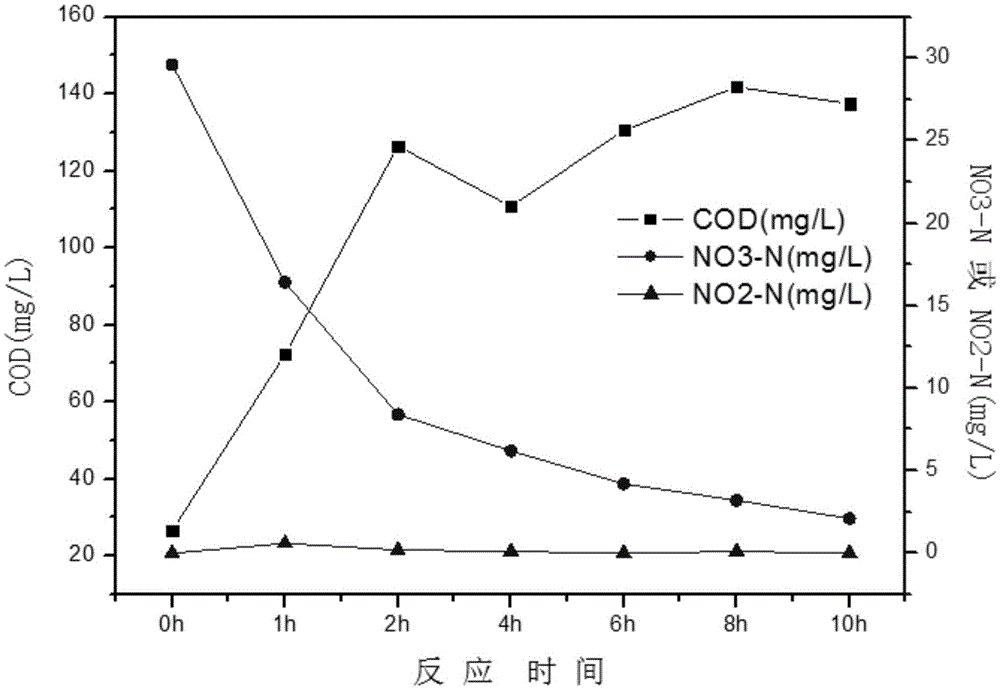 Bio-degradable sustained-release carbon material and preparation method thereof