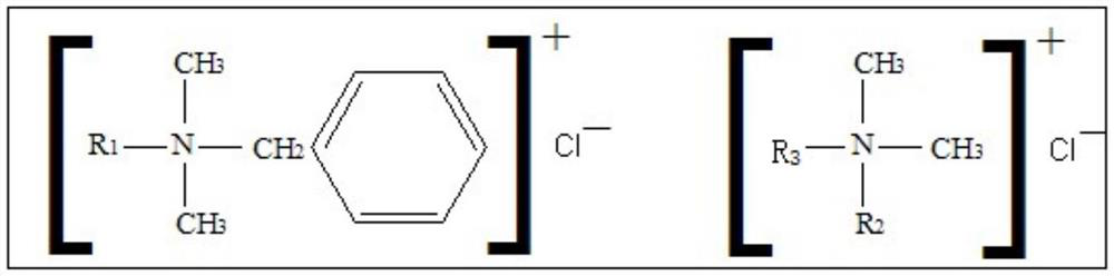 Traditional Chinese medicine composition for inhibiting oral infection of helicobacter pylori