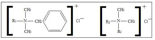 Traditional Chinese medicine composition for inhibiting oral infection of helicobacter pylori