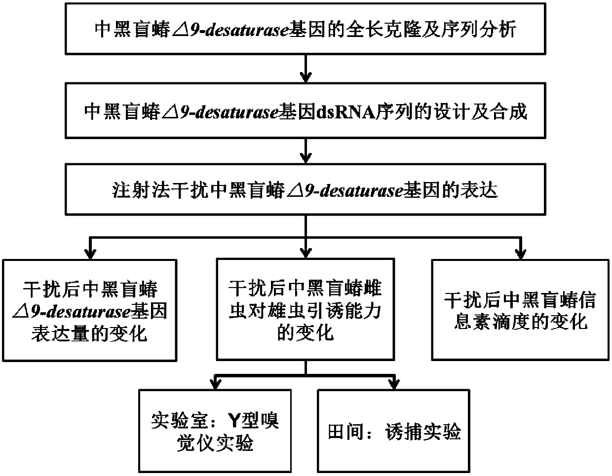 Separated adelphocoris suturalis delta 9-desaturase gene and encoded protein thereof