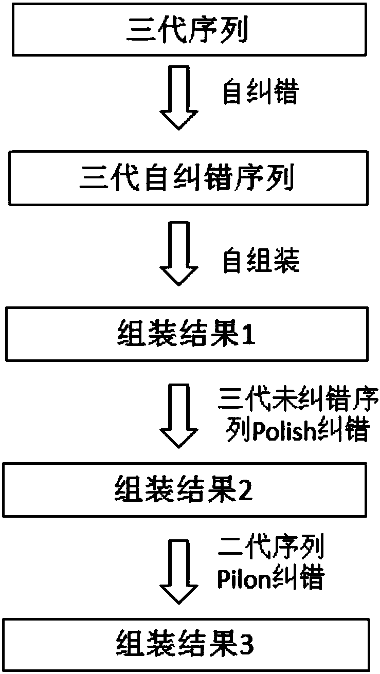 Method and device of estimating and verifying sequence assembly result of three-generation sequencing