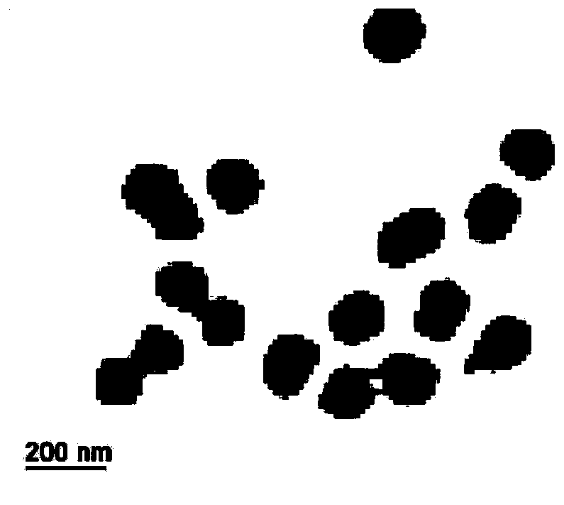 Preparation and application of hydroxyethyl cellulose-sodium alginate hydrogel