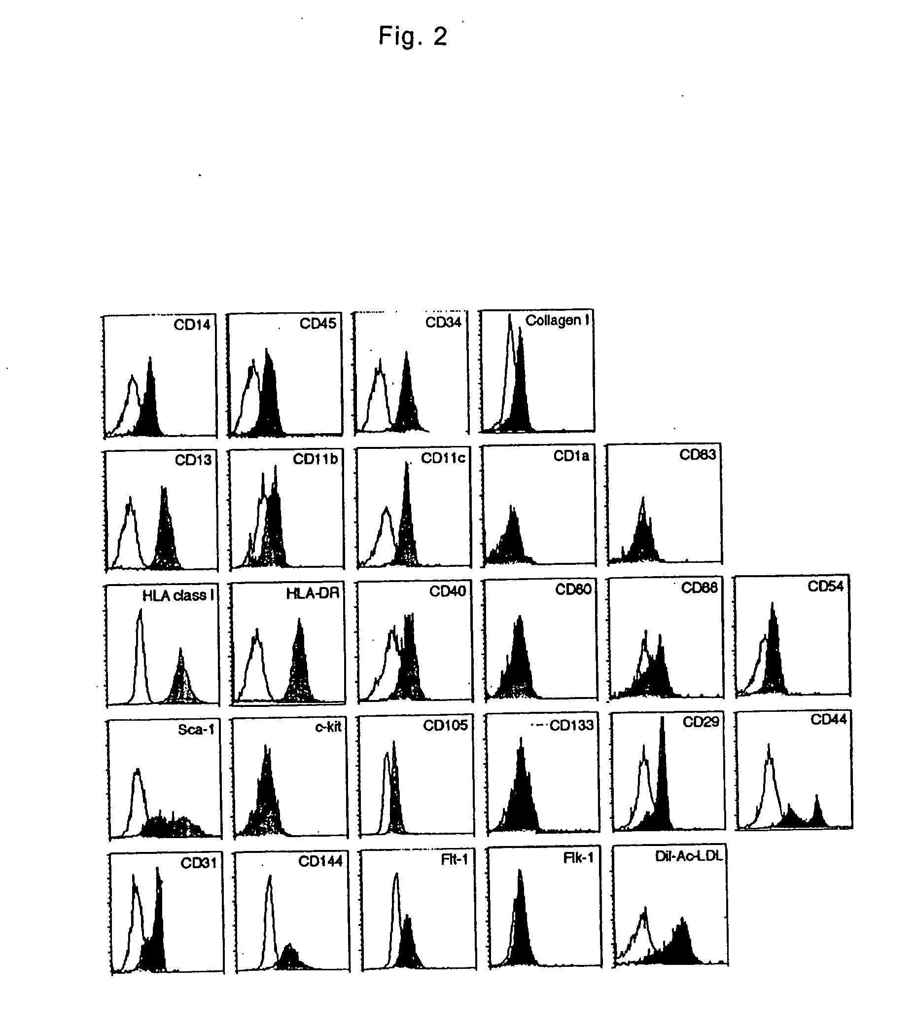 Monocyte-origin multipotent cell momc