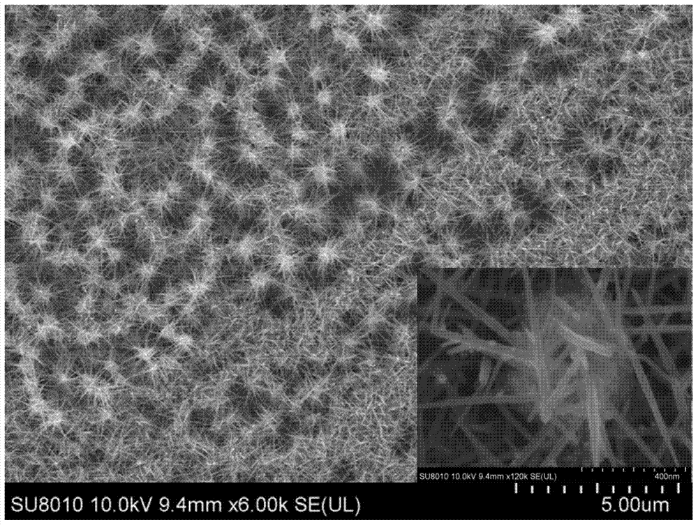 A kind of method that utilizes organic macromolecule material as catalyst to prepare ito nanowire