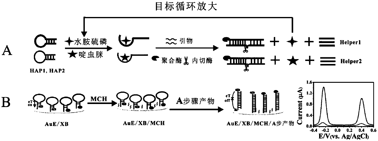 Electrochemical sensor and method system for simultaneous detection of isocarbophos and acetamiprid