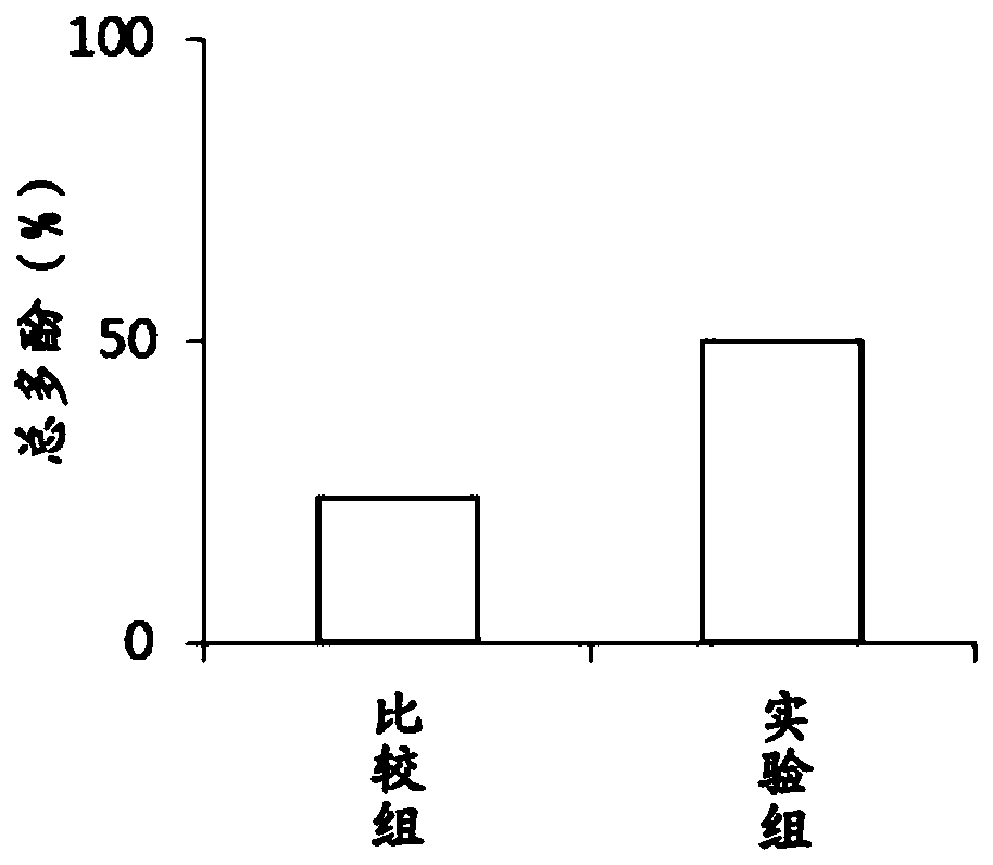 Plant fermentation product and application thereof to preparation of composition for protecting lung and resisting oxidation