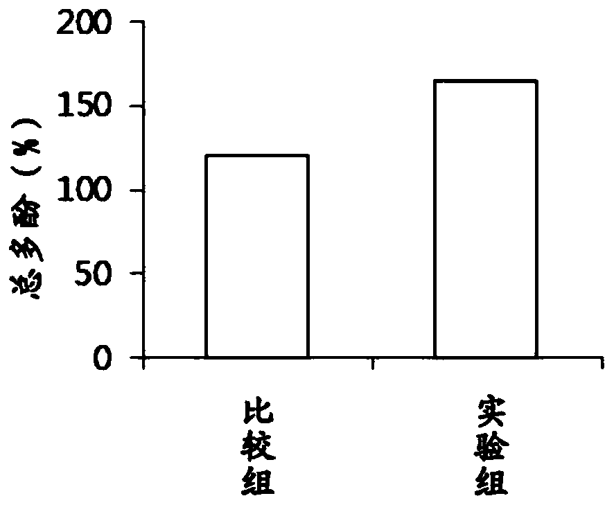 Plant fermentation product and application thereof to preparation of composition for protecting lung and resisting oxidation