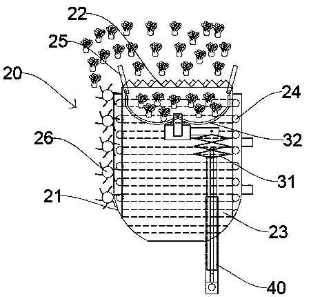 Ordered harvester for closely planted vegetables