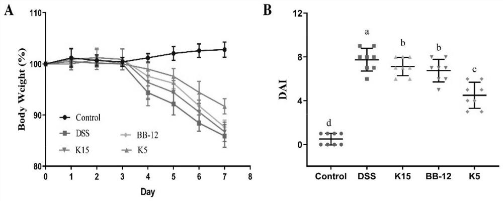 Bifidobacterium longum subsp. Longum capable of preventing and relieving colitis symptoms and application thereof